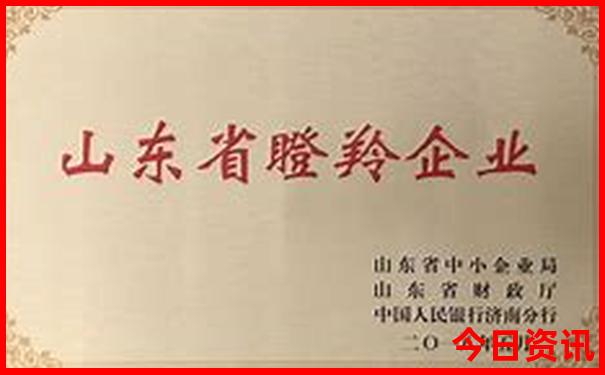 新疆北疆都有哪些景点