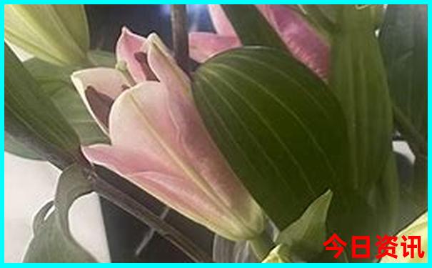 毫州有什么好玩的地方景点